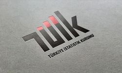 TÜİK'den vahim haber: Son 10 yılda sosyal medya kullanımı yüzde 40 arttı