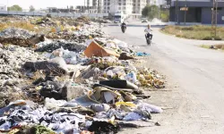 Türkiye çöp ihracatında rekor kırdı