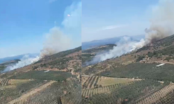 İzmir'de ziraat alanından makiliğe sıçrayan yangına müdahale sürüyor