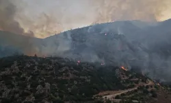 Antalya'daki orman yangınına havadan ve karadan müdahale devam ediyor