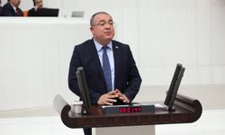 CHP’li Karakoz’dan zeytin tepkisi: Maliyetler arttı, ürün dalında kaldı!