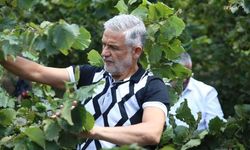 Oda başkanı isyan etti: Fındık üzerine oynanan oyunlara dur denilmeli