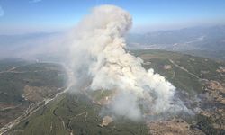Muğla’da orman yangını: 5 uçak 11 helikopterle müdahale sürüyor