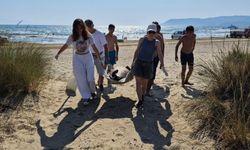 İzmir ve Aydın'da 3 caretta caretta sahilde ölü bulundu