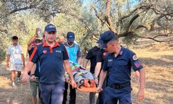 Aydın'da kaybolan 99 yaşındaki Alzheimer hastası kadın sağ bulundu