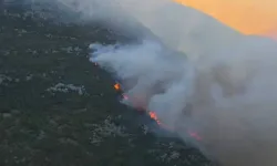 Antalya'da orman yangını: Havadan ve karadan müdahale sürüyor!