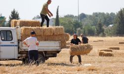 Buca'dan örnek dayanışma... Üreticilere saman dağıtıldı