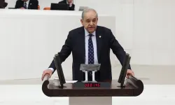CHP’li Nalbantoğlu’ndan dinazor tepkisi: Asıl fosilleşen düşünce dünyanızdır!