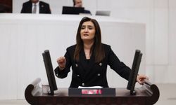 CHP'li Kılıç Moto Kurye Akın Payaz'ın ölümünü Meclis’e taşıdı: İki bakanlığa 35 soru