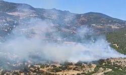 Bornova’da orman yangını: Müdahale sürüyor