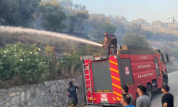 Aydın'da zeytinlik alanda çıkan yangın kontrol altına alındı