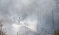 Fethiye'de yangın rüzgarın etkisiyle yeniden başladı