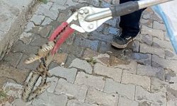 Eve giren yılan korkuttu: İtfaiye ekiplerince yakalandı