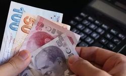 Bakan Yumaklı duyurdu: Hibe destekleri hesaplarda