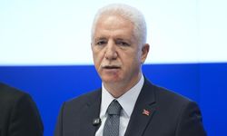 İstanbul Valisi Gül’den sokak hayvanları açıklaması: Yüzde 65’ini topladık