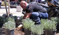 Konak'ta parklar yenileniyor: Çevre dostu uygulamalar devrede