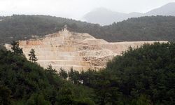 Muğla'da orman alanında mermer ocağı projesine onay