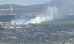 Muğla'da çıkan orman yangınına müdahale sürüyor