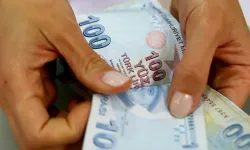 Hibe desteği başladı: Kimleri kapsıyor?