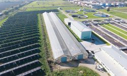 Türkiye’de öncü proje: Manisa'da arıtma çamuru enerjiye dönüşecek