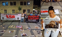 Foça’dan yükselen ses: Öldürmekten değil yaşatmaktan yanayız