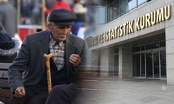 TÜİK verileri açıkladı! Türkiye'nin en yaşlı ili belli oldu