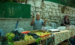 İzmir’de bardacık coşkusu: En iyi incir belli oldu