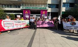 Hayvan hakları savunucularından yasayı iptal çağrısı: Barınaklar ölüm kampı