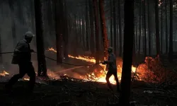 Aydın'da günlerce süren orman yangınına ilişkin 2 kişi gözaltına alındı
