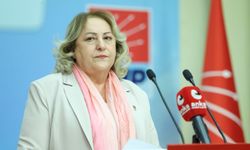 CHP’li Gülsever’den ‘suça sürüklenen çocuklar’ için çağrı: Cezaların artması tek başına yeterli değil!