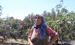 Yangında kaybolan can dostu ‘Kara’nın dönmesini umutla bekliyor