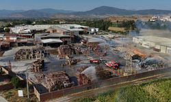Tire’de kağıt fabrikasının deposunda korkutan yangın