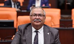 Yeni Partili Bülbül, Çine'deki orman yangınını TBMM’ye taşıdı: Afet Bölgesi kapsamına alınacak mı?