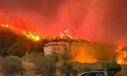 Fethiye'de çıkan orman yangını kontrol altına alındı