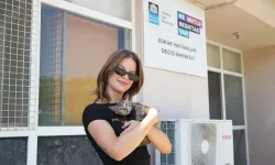 Manifest Esin'in paylaşımına beğeni yağdı: Engelli yavru kedi Lili’yi sahiplendi