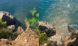 Antalya’da atık su sızıntısı: Savcılık soruşturma başlattı