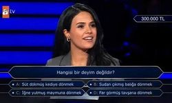 Kim Milyoner Olmak İster'de 'deyim' sorusu: 300 bin TL'lik soruyu bilemedi!