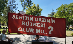 Şehit ve gazilerin hakları TBMM'de tartışıldı... CHP'li Kış: Emsal statü neden yok?