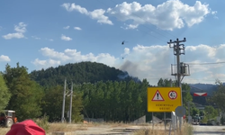 Balıkesir'de iki ilçede çıkan yangınlar ormanlık alana sıçradı
