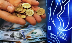 Ponzi nedir? Ünlü isimler nasıl dolandırılıyor? Ponzi sisteminden nasıl korunulur?