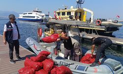 İzmir'de yasa dışı midye avcılığına sıkı denetim