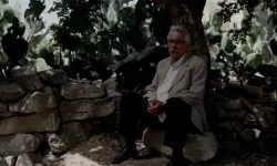 Oscar’da ülkemizi temsil edecek: 'Kesilmiş Bir Ağaç Gibi’