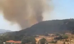 Kaş'ta orman yangını: Müdahale devam ediyor!