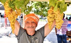 Urla’da 2600 yıllık gelenek: Bağbozumu Şenlikleri başlıyor