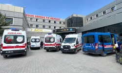 Van Gölü'nde acı olay: 2 kardeş hayatını kaybetti