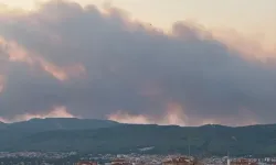 Muğla’da orman yangını: Alevler Ula’ya sıçradı, karayolu kapatıldı, 3 ev tahliye edildi