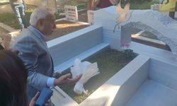 Selçuk Mızraklı tahliye sonrası Sırrı Süreyya Önder’in mezarını ziyaret etti: Demirtaş’ın selamlarını getirdim