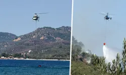 Çanakkale’de zeytinlik alanda yangın: Müdahale sürüyor!