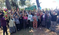 Akbelen'den dayanışma çağrısı: Toprak talan edildiğinde geri dönüşü yok