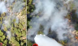Antalya Kepez'de orman yangını: Havadan ve karadan müdahale ediliyor